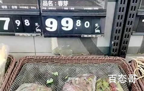 “春芽刺客”每斤138元?种植户发声 吃一斤的是什么神仙