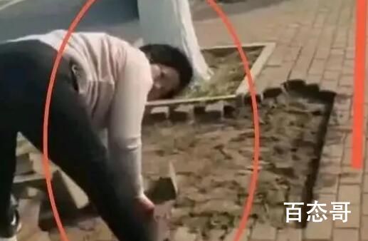网曝多名老人撬走人行道地砖 这些人有没有犯法