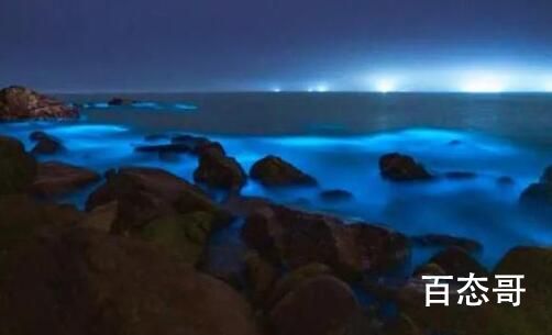 广东海陵岛海滩连日现“蓝眼泪” 现场的画面真的是太美了