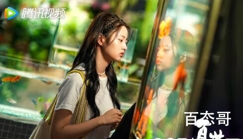 《夏花》张元奇被针对的原因是什么  《夏花》张元奇为什么被针对