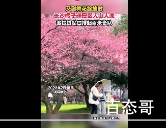 长沙没有淡季吗 长沙地铁进站口排起百米长队