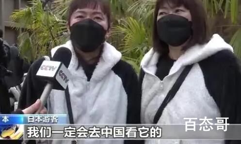 旅日大熊猫香香明日回国 香香回家后要赶紧学四川话那么多的兄弟姊妹语言不通打不了招呼