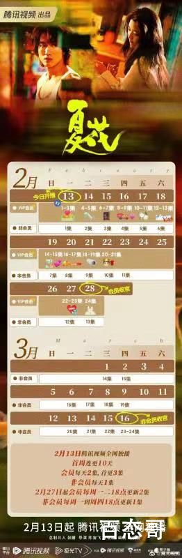 夏花更新时间