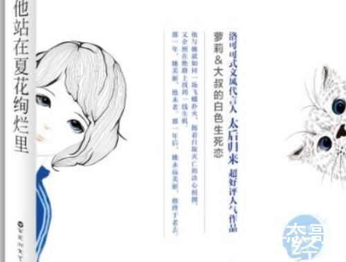夏花更新时间
