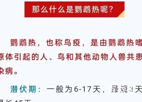 广东一病例高烧不退潜伏45天 究竟是怎么一回事