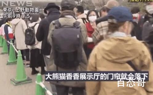 欢迎旅日大熊猫香香回家 祝“香香”一路平安身体健康幸福快乐