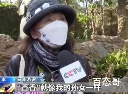 欢迎旅日大熊猫香香回家 祝“香香”一路平安身体健康幸福快乐