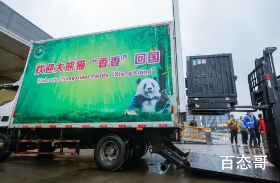 大熊猫香香到家 1个月后与公众见面 欢迎香香回到祖国怀抱！祝福香香！