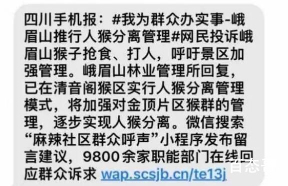 峨眉山猴子的好日子到头了 应该把有攻击性的猴子绑在那里示众三天