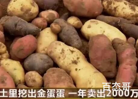 火锅店18元一份土豆就5片 好东西让有钱人先吃没毛病 