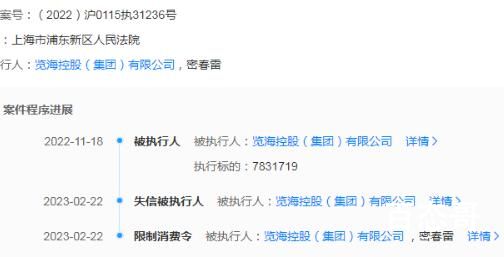 密春雷被限制高消费 背后详情曝光引争议