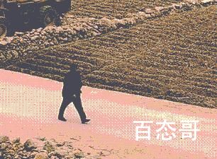 爷爷颤颤巍巍去见孙子最后一面 这条路老人走了一辈子第一次感觉路好长