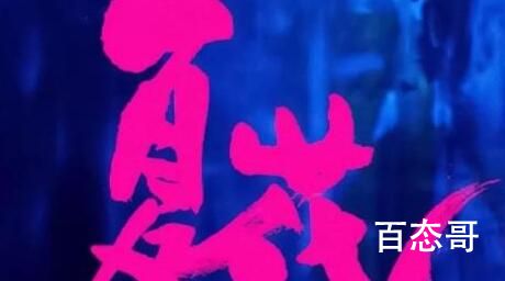 夏花是悲剧还是喜剧  夏花讲述了什么故事