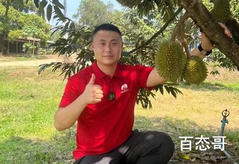 榴莲年进口超40亿美元碾压车厘子 榴莲真是让很人爱恨交织