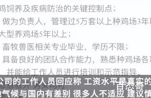 月薪4万招人去非洲养鸡?企业回应 国内你一年挣不上5万元