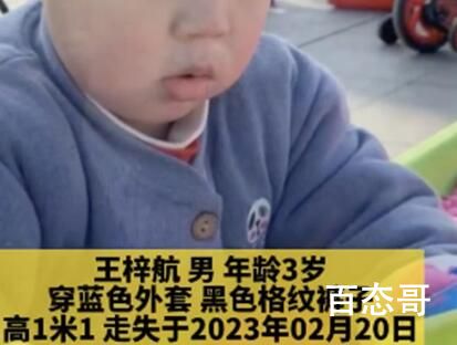 3岁男童失踪3天 曾与两陌生小女孩玩 警方已介入调查此事