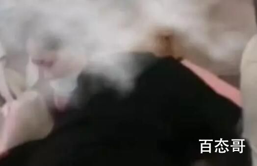 导游强制消费抢手机 女游客吓得大哭 最讨厌这种导游了