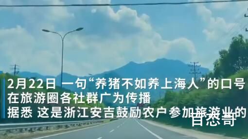 养猪不如养上海人!这话传遍旅游圈 这个口号是真的牛
