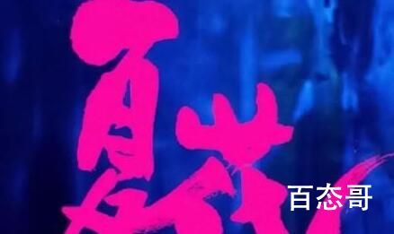 夏花男主之前是做什么工作的   夏花萧寒之前的工作是什么