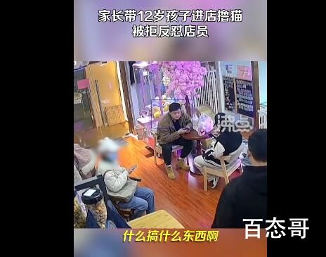 12岁孩子进店撸猫被拒家长怒怼店员 有的小孩撸猫没轻没重容易伤害猫咪