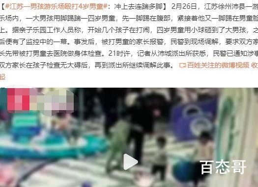 男孩游乐场殴打4岁男童:连踹多脚 他还那么小千万不要放过他