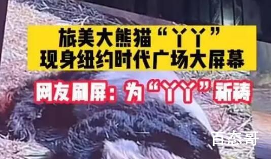丫丫现身纽约时代广场大屏幕 我们可怜的丫丫宝宝啊！
