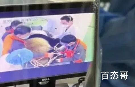 医院有位患者叫熊猫是真熊猫 然后医生说平时注意休息不要熬夜