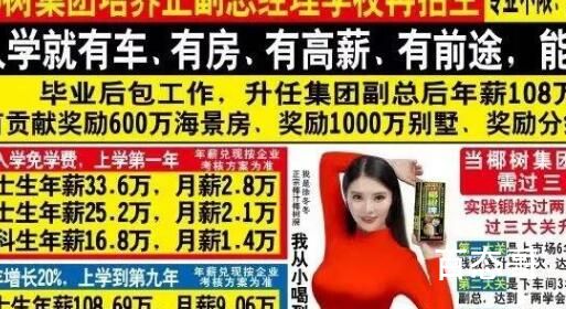 椰树回应16.8万年薪招本科生 背后的真相让人始料未及