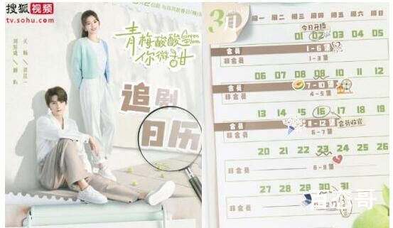 青梅酸酸你微甜一共多少   青梅酸酸你微甜讲述了什么故事