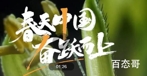 春天中国 奋跃而上 祝福祖国经济永远稳定增长！