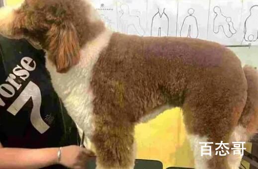 高校大学生裸辞大公司:活得像老鼠 背后的真相让人始料未及