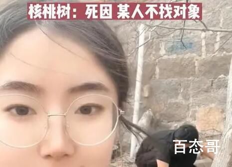 女子算命核桃树挡姻缘家人将树砍掉 科学的尽头是玄学