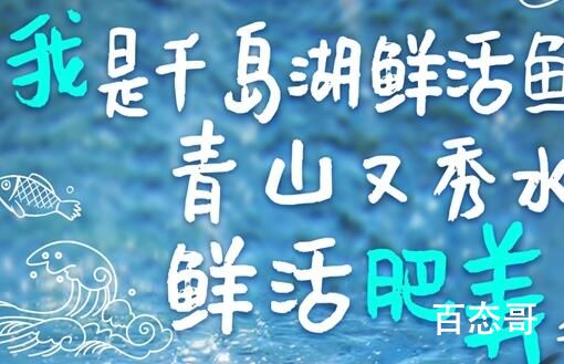 老默千岛湖摸鱼 又是强哥想吃鱼了吗