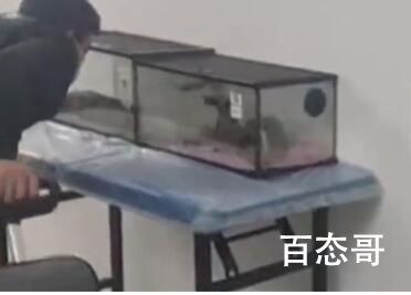 游客吐槽25元看海洋馆就几个鱼缸 背后的真相让人始料未及