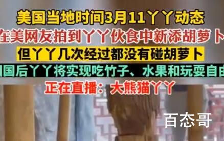 丫丫伙食新添胡萝卜但它没碰 到底是怎么一回事