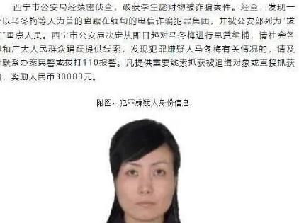 警方悬赏3万缉捕“马冬梅” 马冬梅个人资料简介