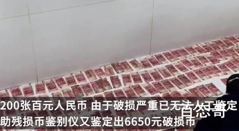 老人墓中藏13万现金 全部霉变 最后能找回的大约只有六万了