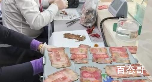 老人墓中藏13万现金 全部霉变 背后的真相让人惊愕