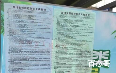 未提前通知捕杀村民家狗 乡政府回应一切都是按照规定来的