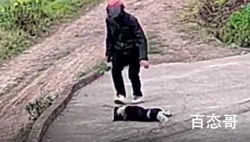 老太阻拦偷狗贼被推入菜地 这小偷智商不行盗窃转抢劫真刑