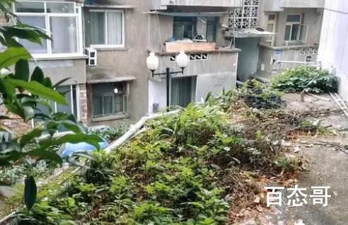 男教师坠亡 举报女生被疑诬告很委屈 不诬陷一个好人但也不要放过一个坏人！