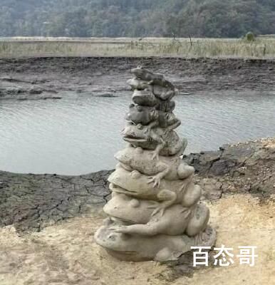 日月潭蓄水率创新低 九蛙叠像全露出 究竟是怎么一回事