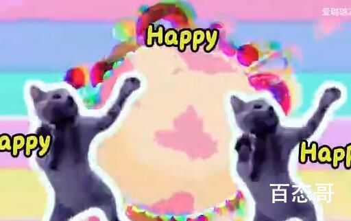 今日happyhappyhappy猫是什么意思 happyhappyhappy猫梗出自于哪里