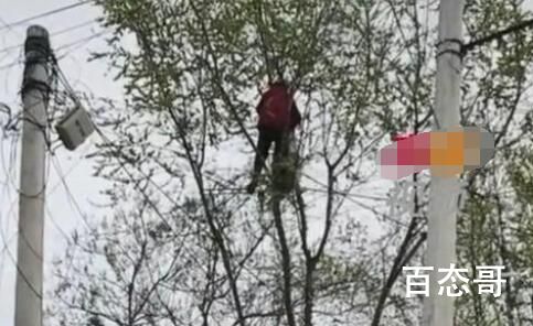 80多岁老太爬树摘榆钱 喊都喊不下来 老人老了就是如此任性啊！ 