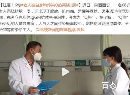老人被自家狗传染“Q热”高烧一周 究竟是怎么一回事