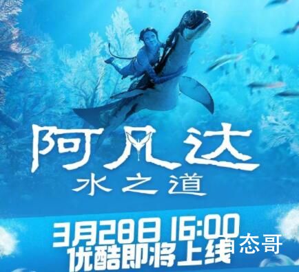 电影《阿凡达：水之道》国内定档什么时候 阿凡达：水之道那个平台可以看