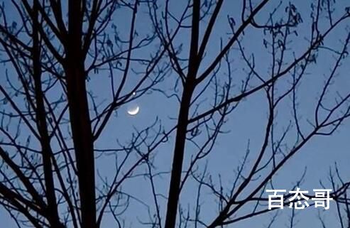 被月亮星星浪漫到了 月上柳梢头人约黄昏后 