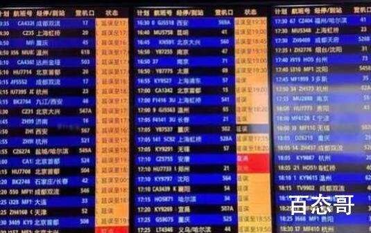 深圳暴雨致航班取消 旅客跪求起飞 究竟是怎么一回事