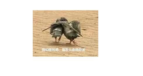 骗骗兄弟们没事别骗自己是啥意思