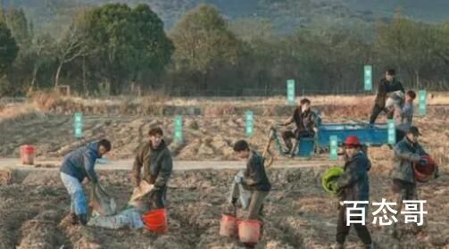 这群年轻人 在综艺节目中“种地” 等这节目完了他们还是会回到城市